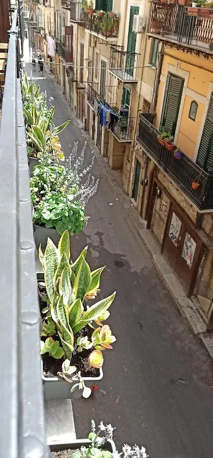 Appartamento Jacona 365 Palermo